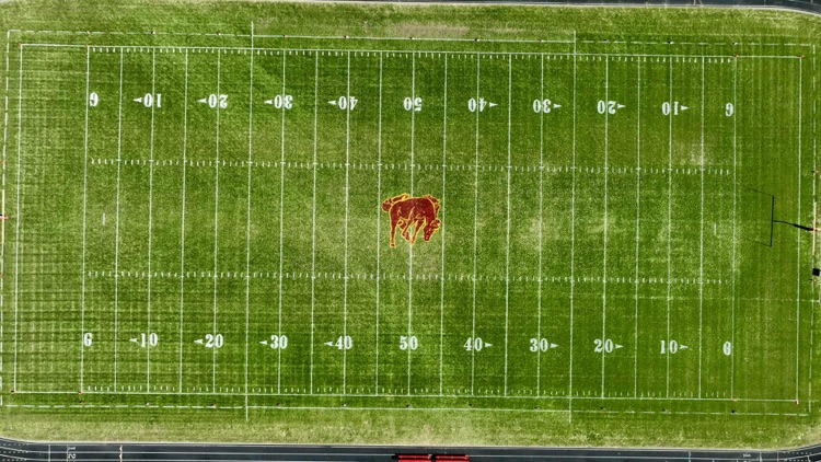 field