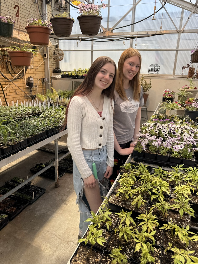 greenhouse