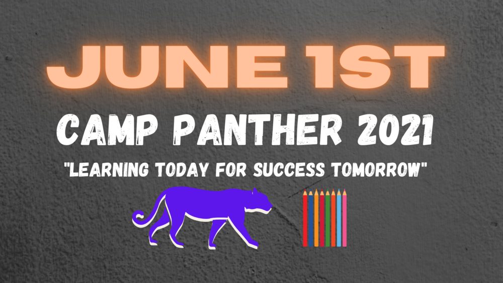 Camp Panther Art