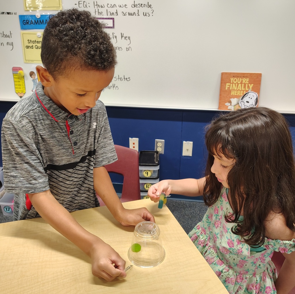 Second Grade Students working to Save Fred the gummy worm.