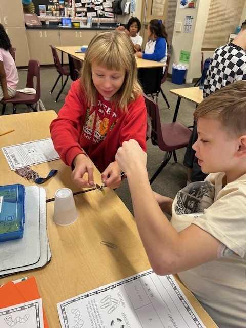 Fifth Grade Students working to Save Fred the gummy worm.