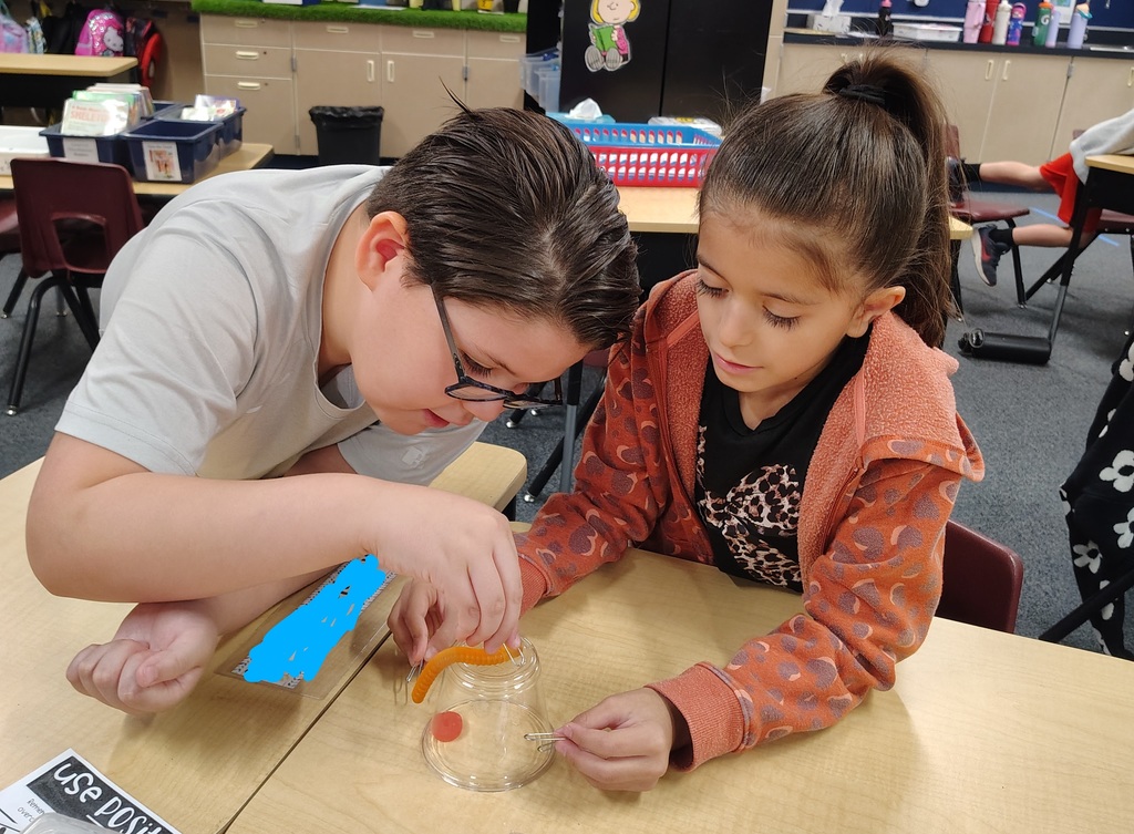 Second Grade Students working to Save Fred the gummy worm.