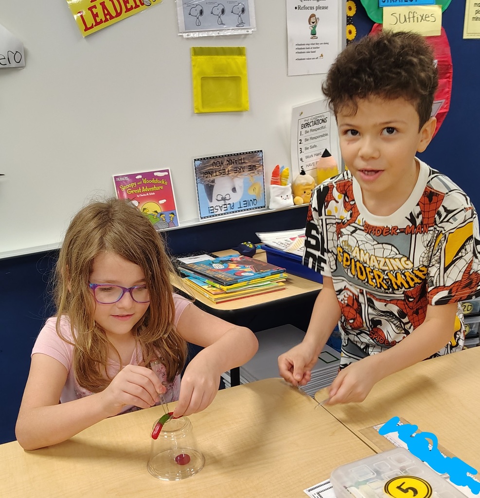 Second Grade Students working to Save Fred the gummy worm.