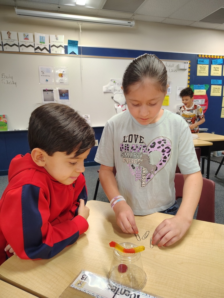 Second Grade Students working to Save Fred the gummy worm.