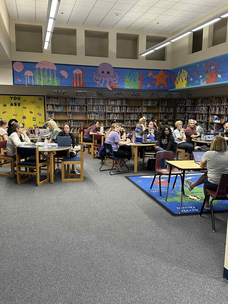 Teacher Professional Development