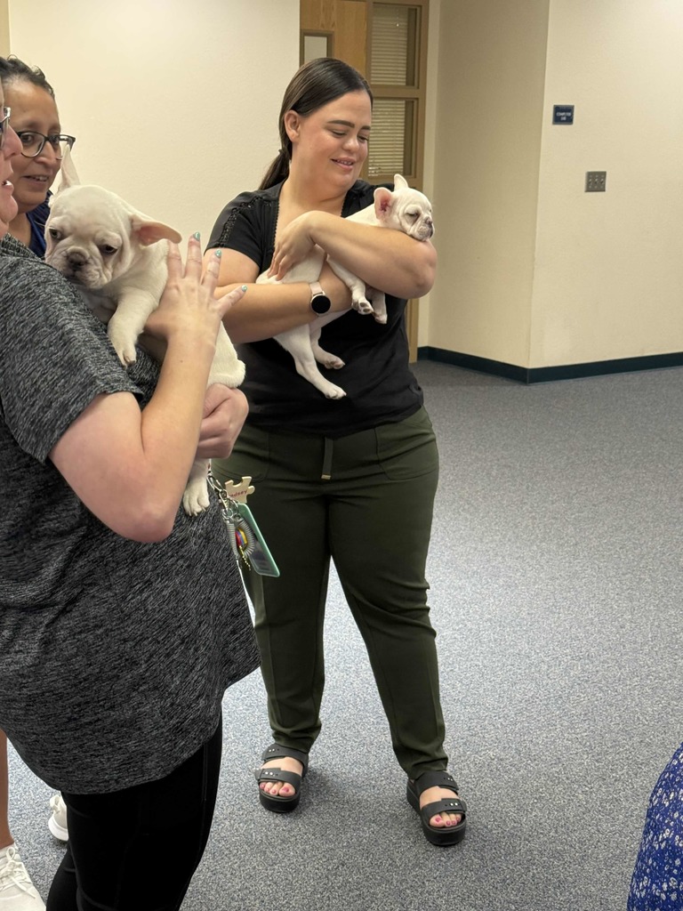 Teachers holding bulldog puppies