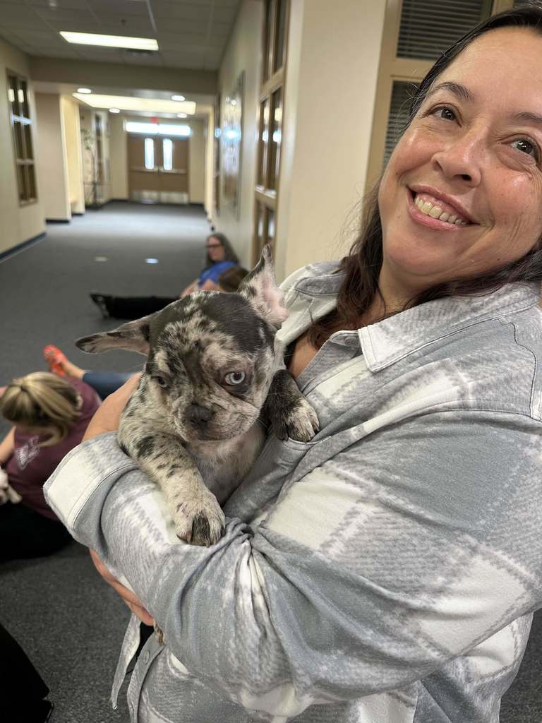 Teachers holding bulldog puppies