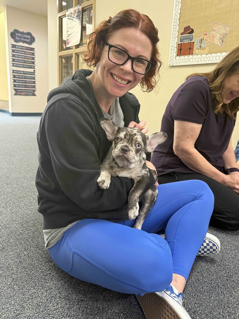 Teachers holding bulldog puppies