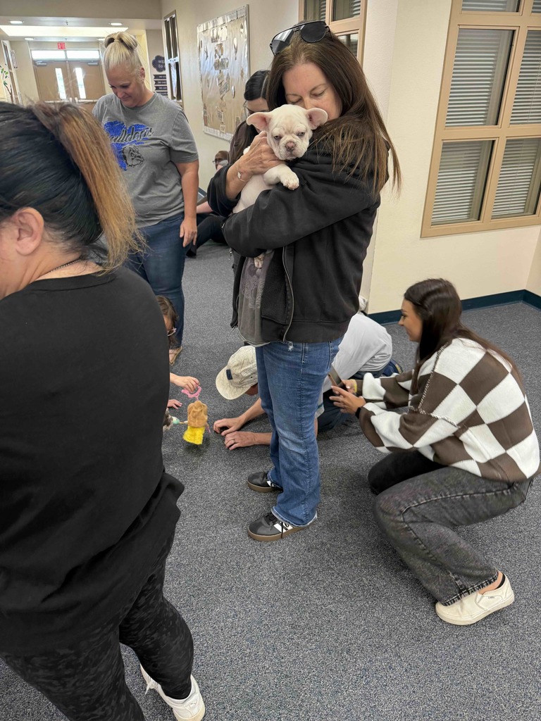 Teachers holding bulldog puppies
