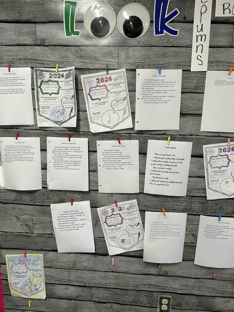 3rd Grade New Years Goals