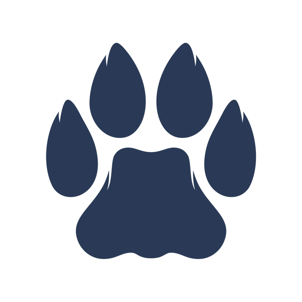 R20 Paw