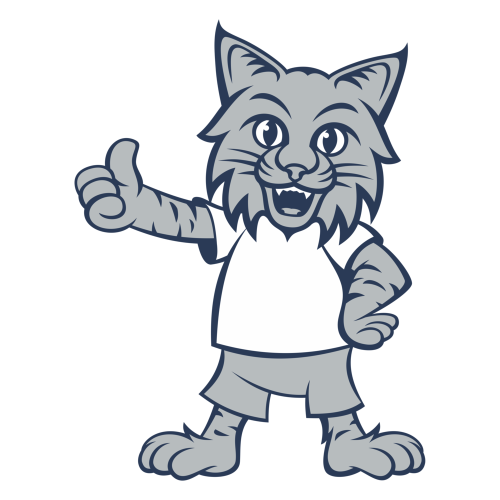 Bobkitty