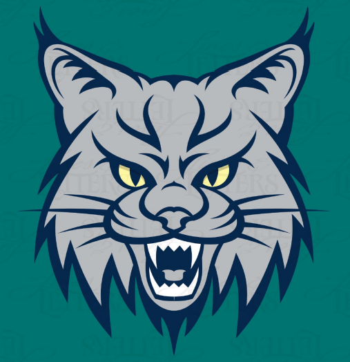 HS Bobcat