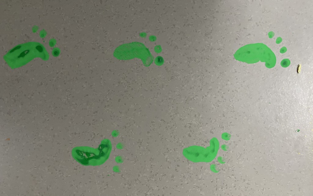 St. Patrick's Day