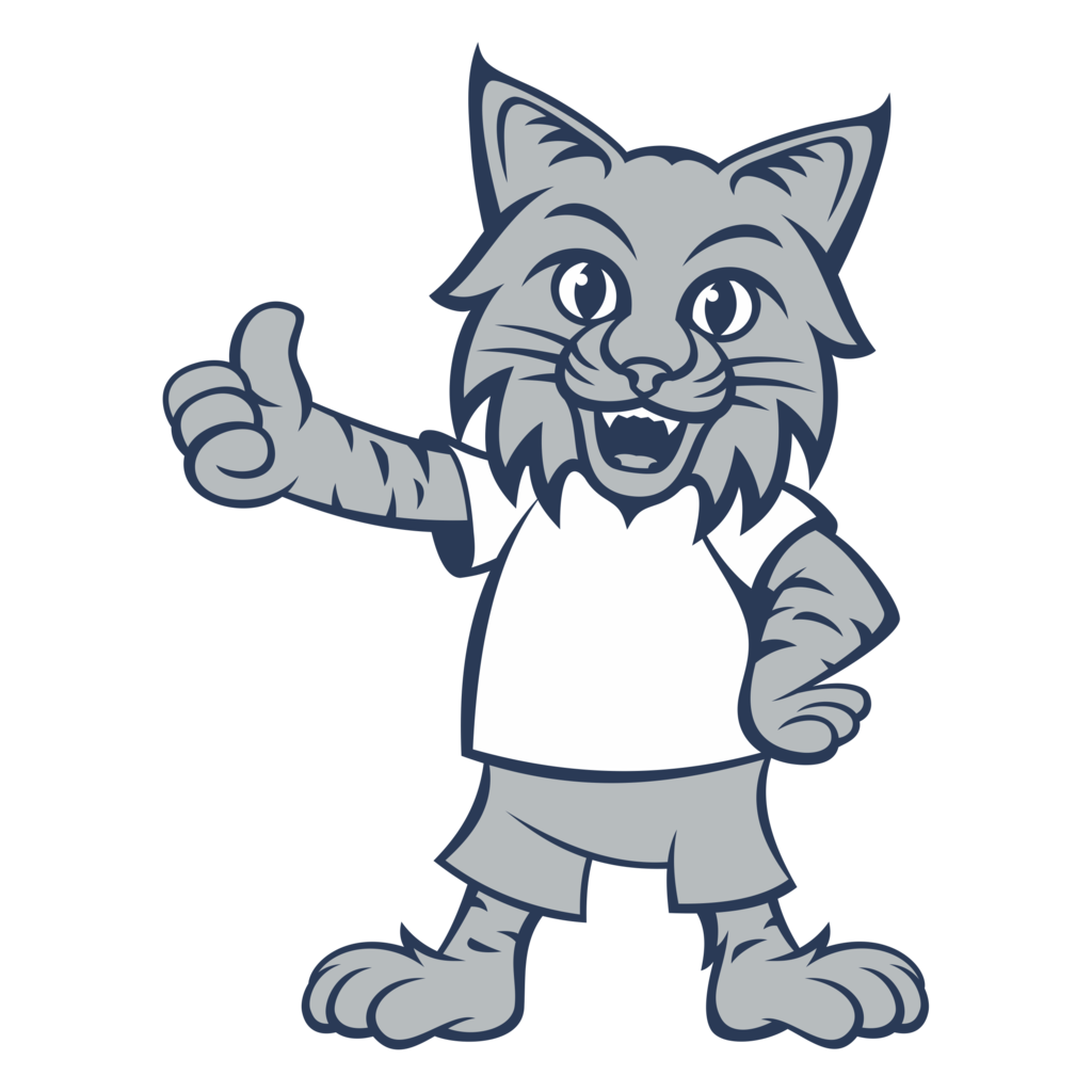 Bobkitty
