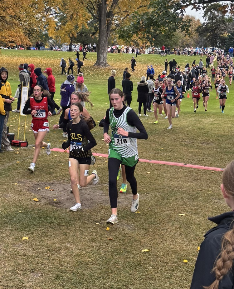 Congrats Elsa Helstrom! State CC Meet