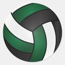 black, green, and white volleyball