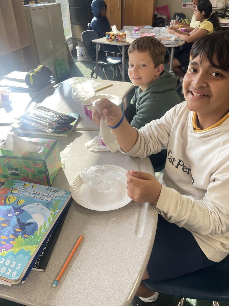 FHSA 5th chemical reactions