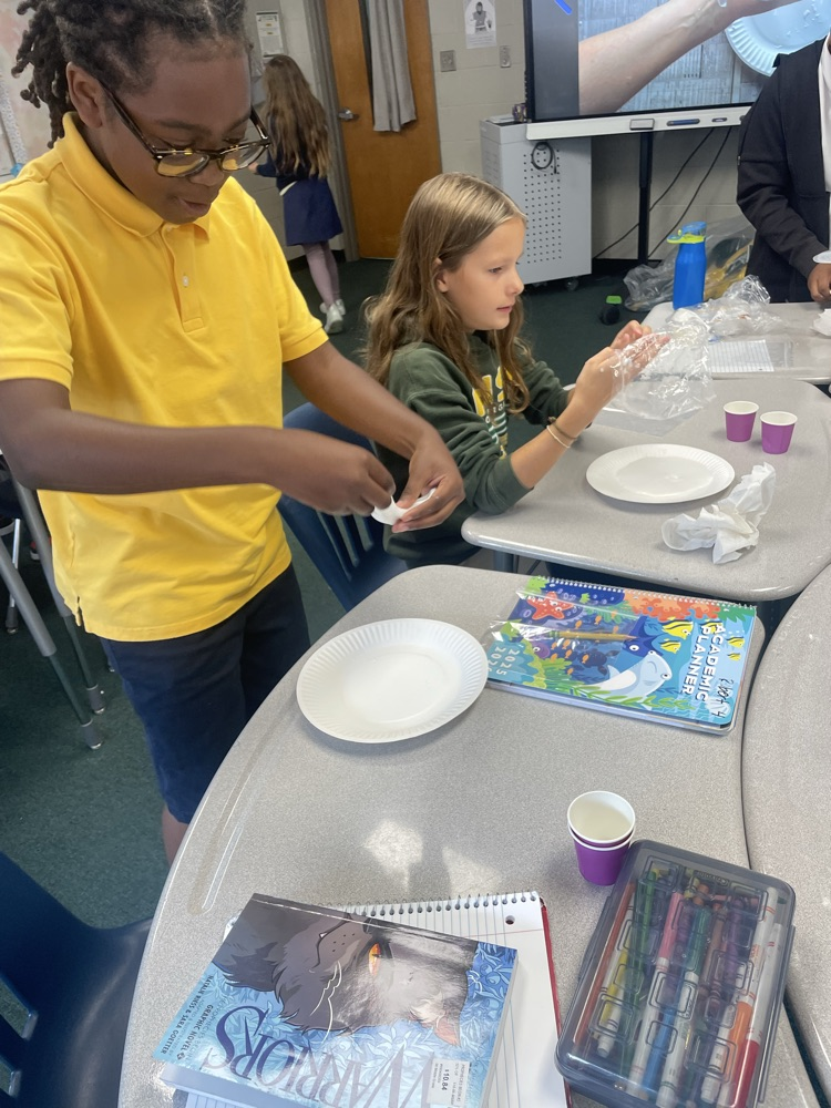 FHSA 5th chemical reactions