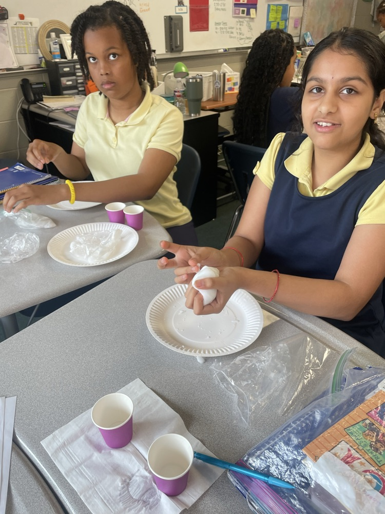 FHSA 5th chemical reactions
