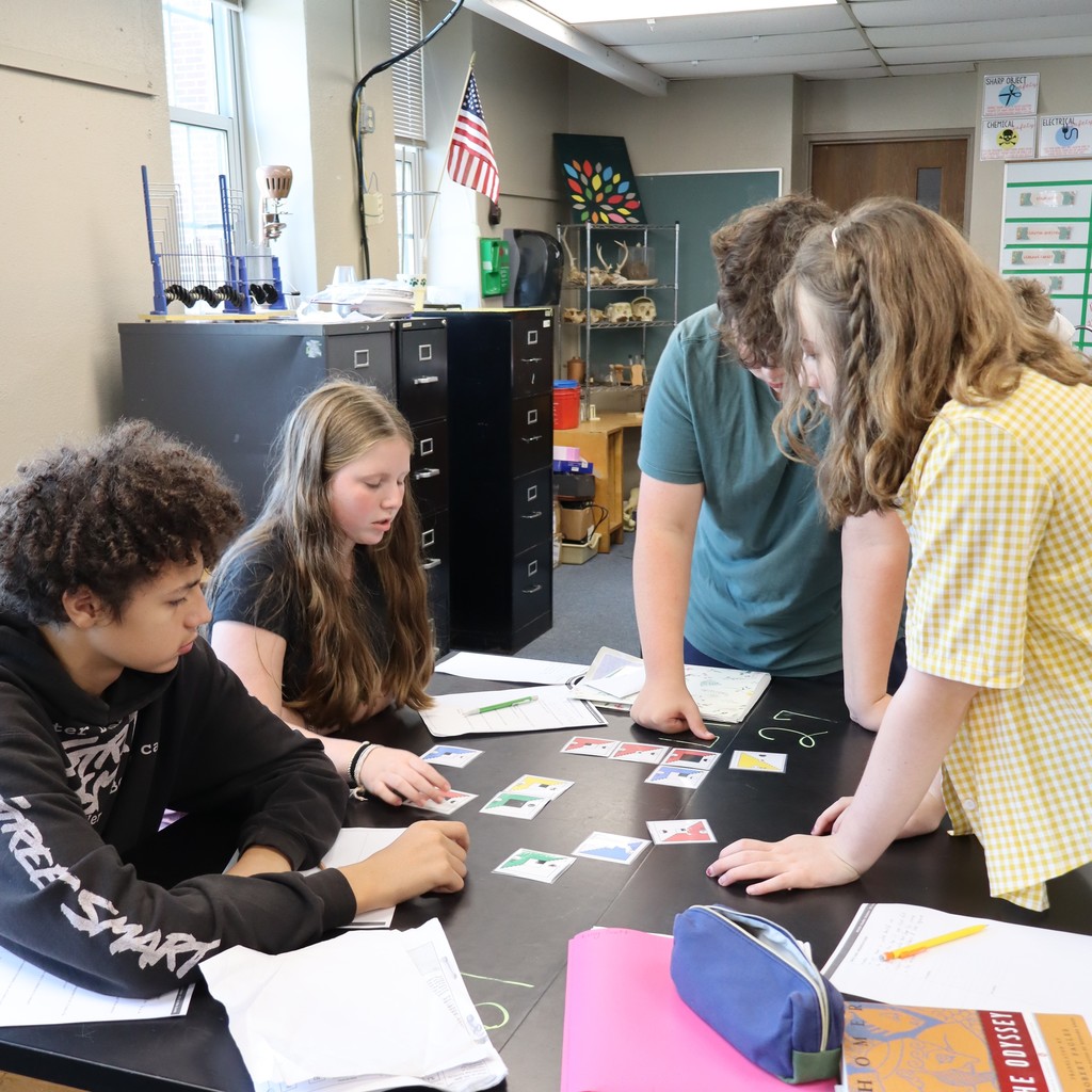 Students working together to organize cards