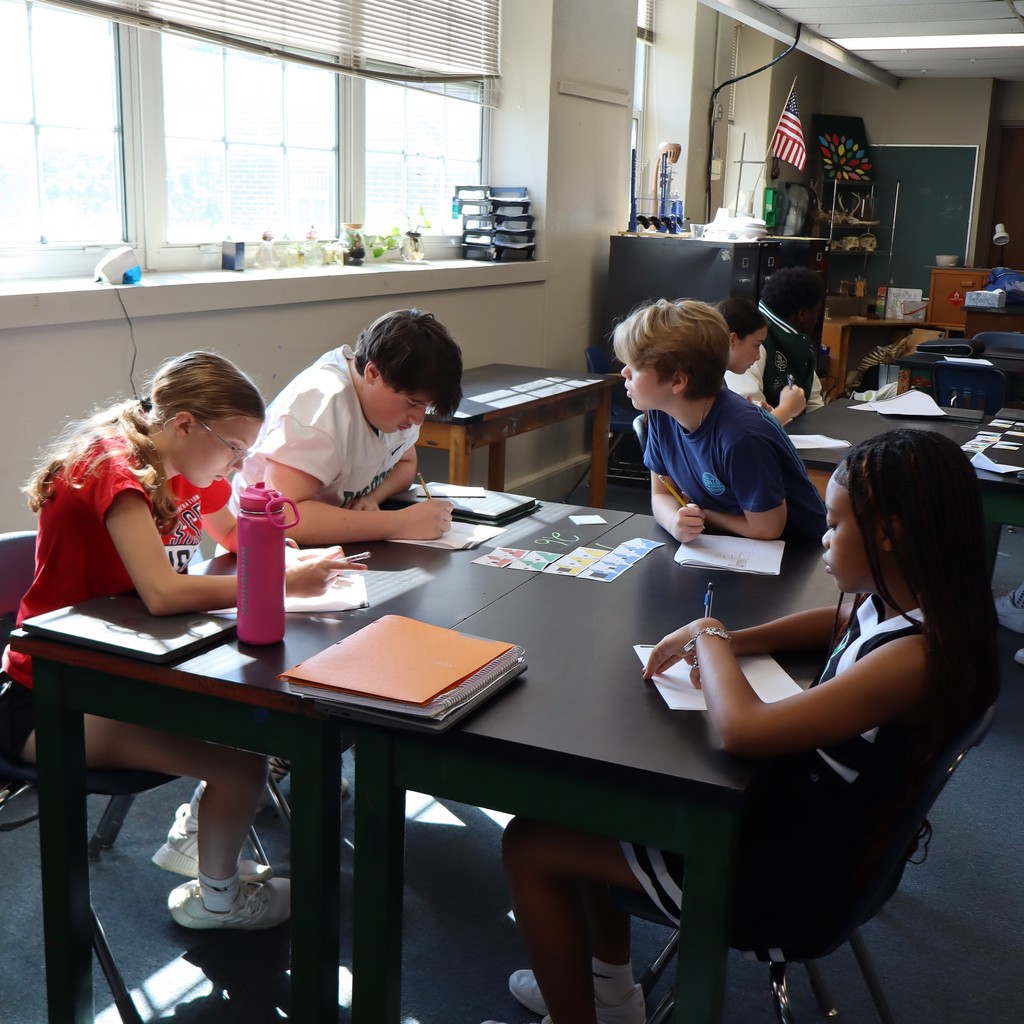 Students working together to organize cards