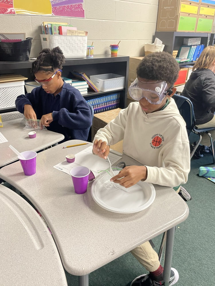 FHSA 5th grade science experiment