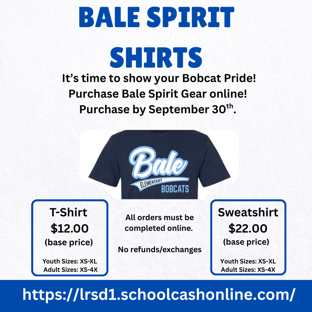 T-Shirt Flyer (English) 