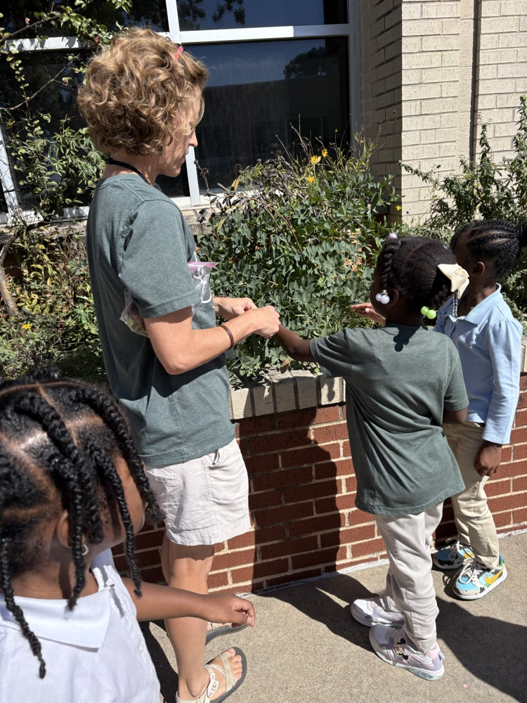 FHSA outdoor science lab