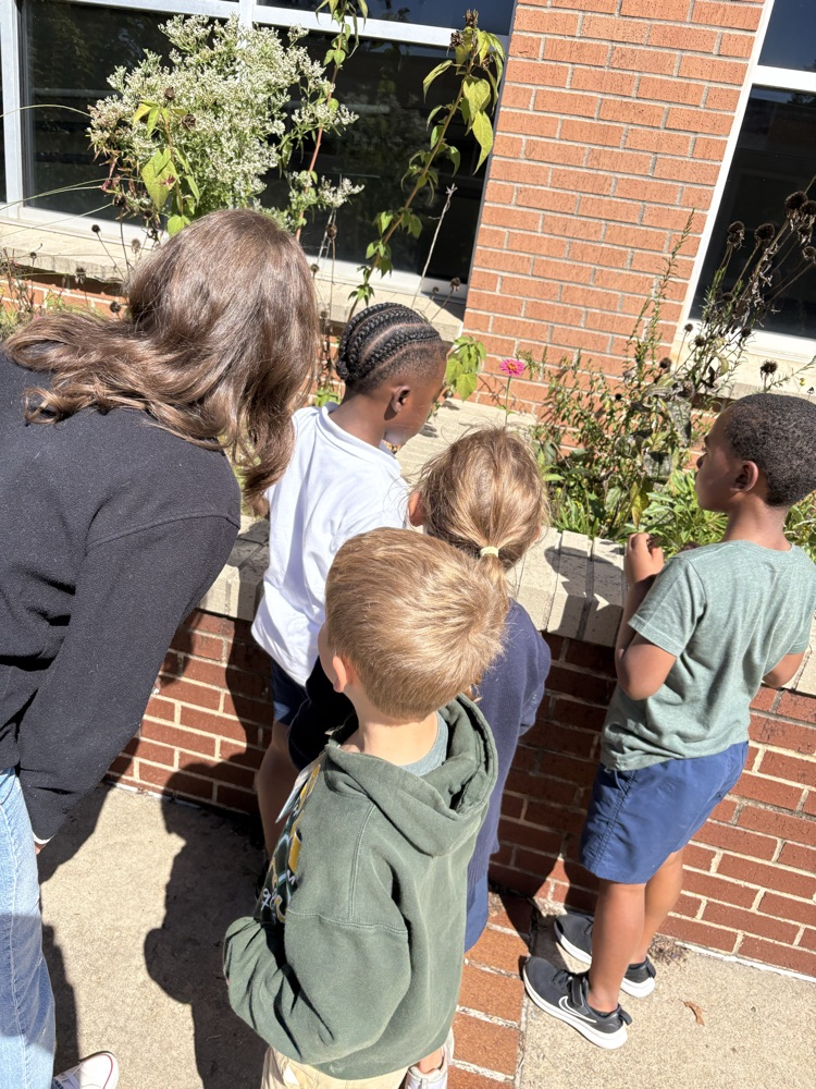 FHSA outdoor science lab