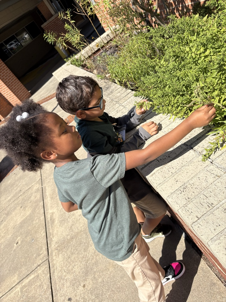 FHSA outdoor science lab