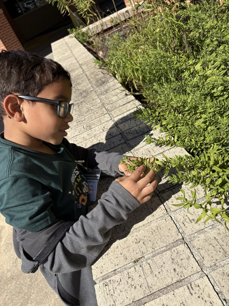 FHSA outdoor science lab