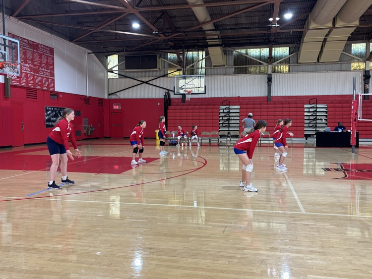 volleyball team