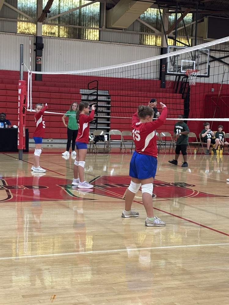 volleyball team