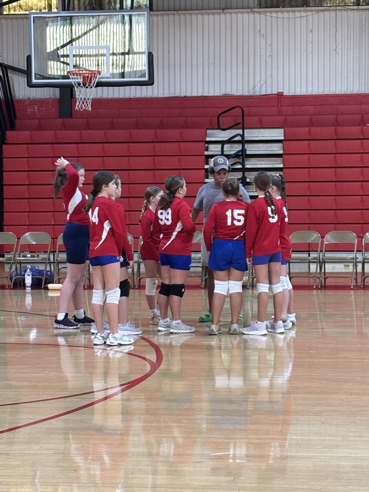 volleyball team