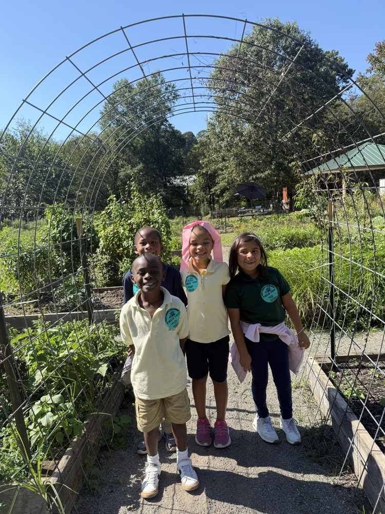 FHSA 1st grade apple seeds