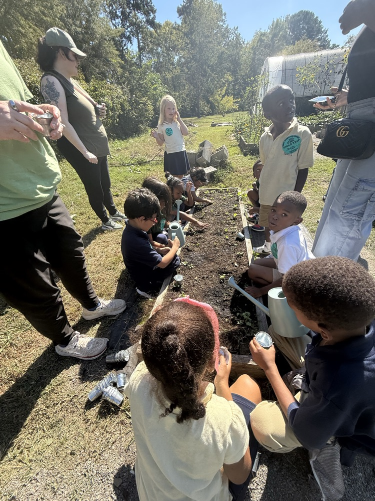 FHSA 1st grade apple seeds