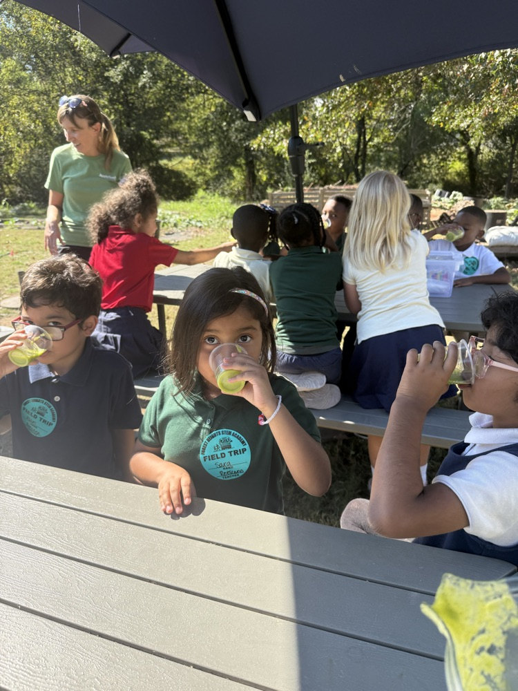 FHSA 1st grade apple seeds