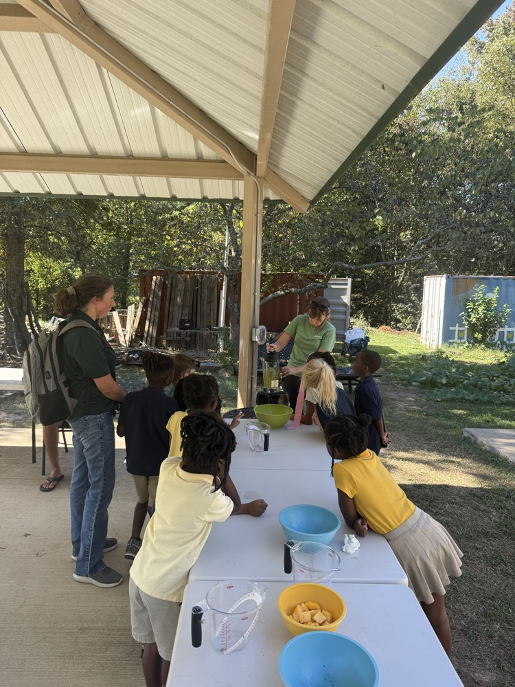 FHSA 1st grade apple seeds