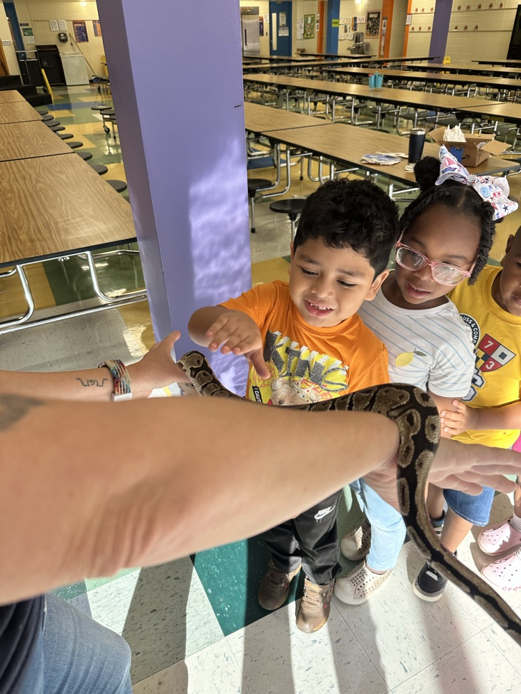 students petting a python 