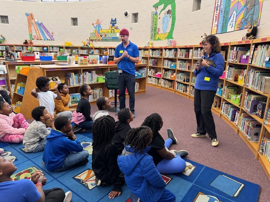 Bringing out the ferret