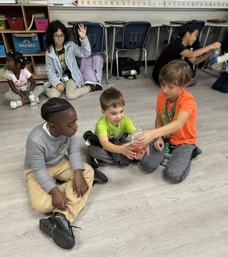 lava lamp team pictures