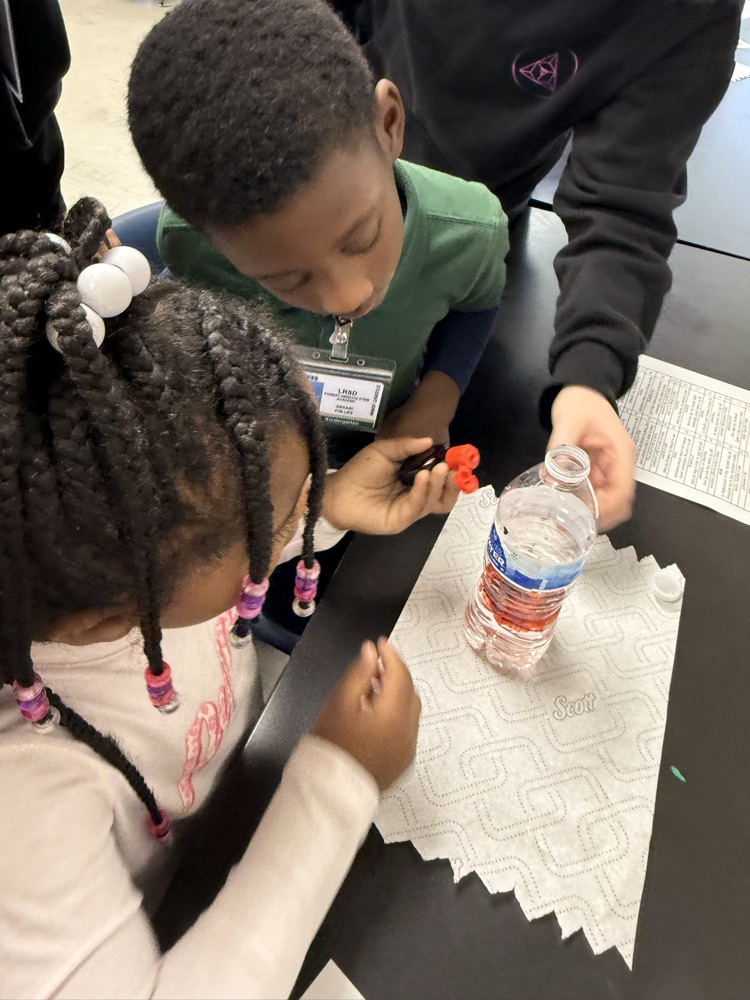 lava lamp team pictures