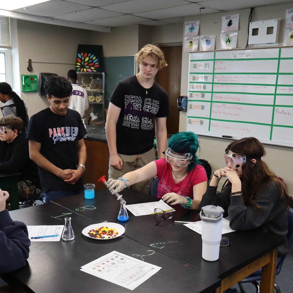Students working together in science class