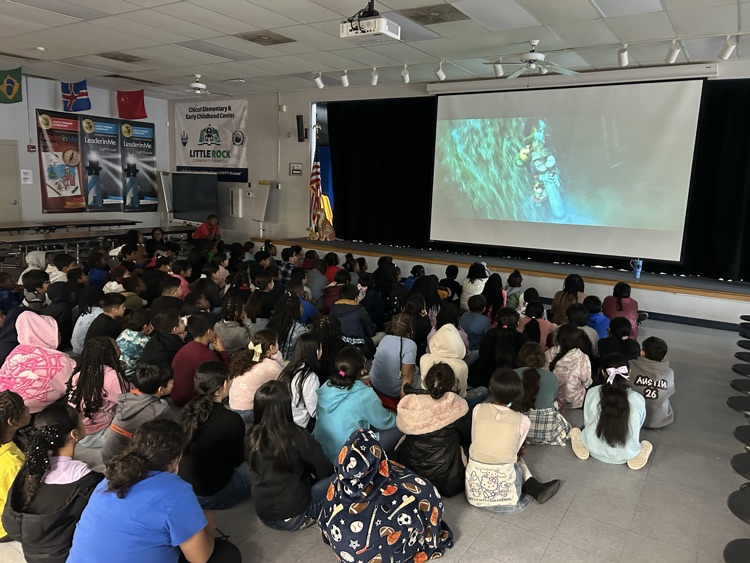 Nine week insensitive party 