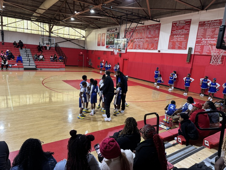 Cheer and Basketball teams