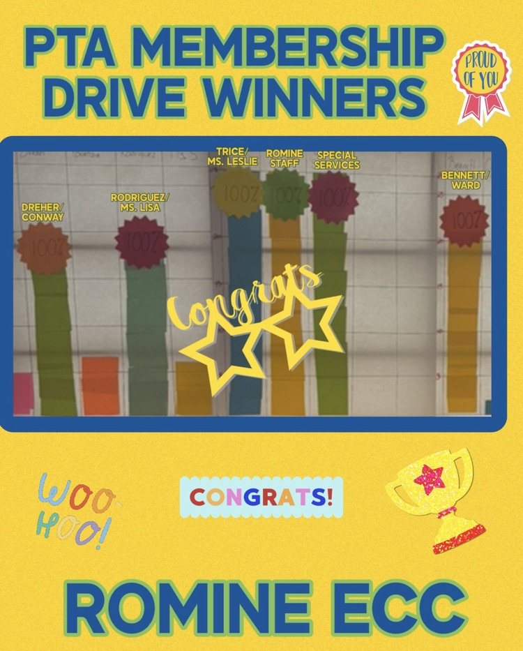 Romine ECC PTA winners Glow Party Pictures