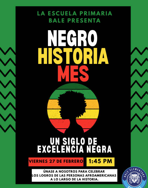 Program Flyer (Spanish)