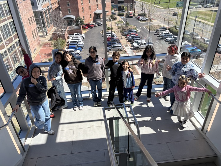 artistry in the rock 