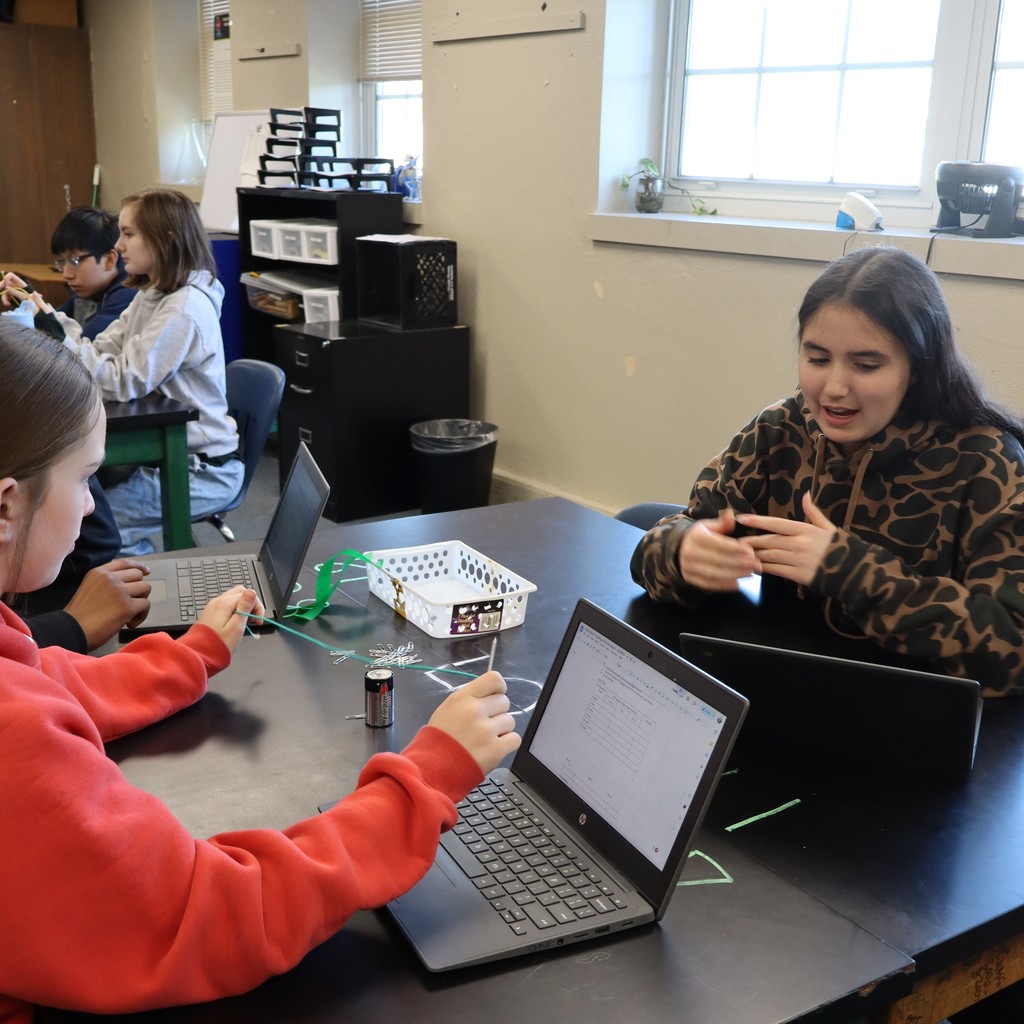 Students conducting an experiment in Science
